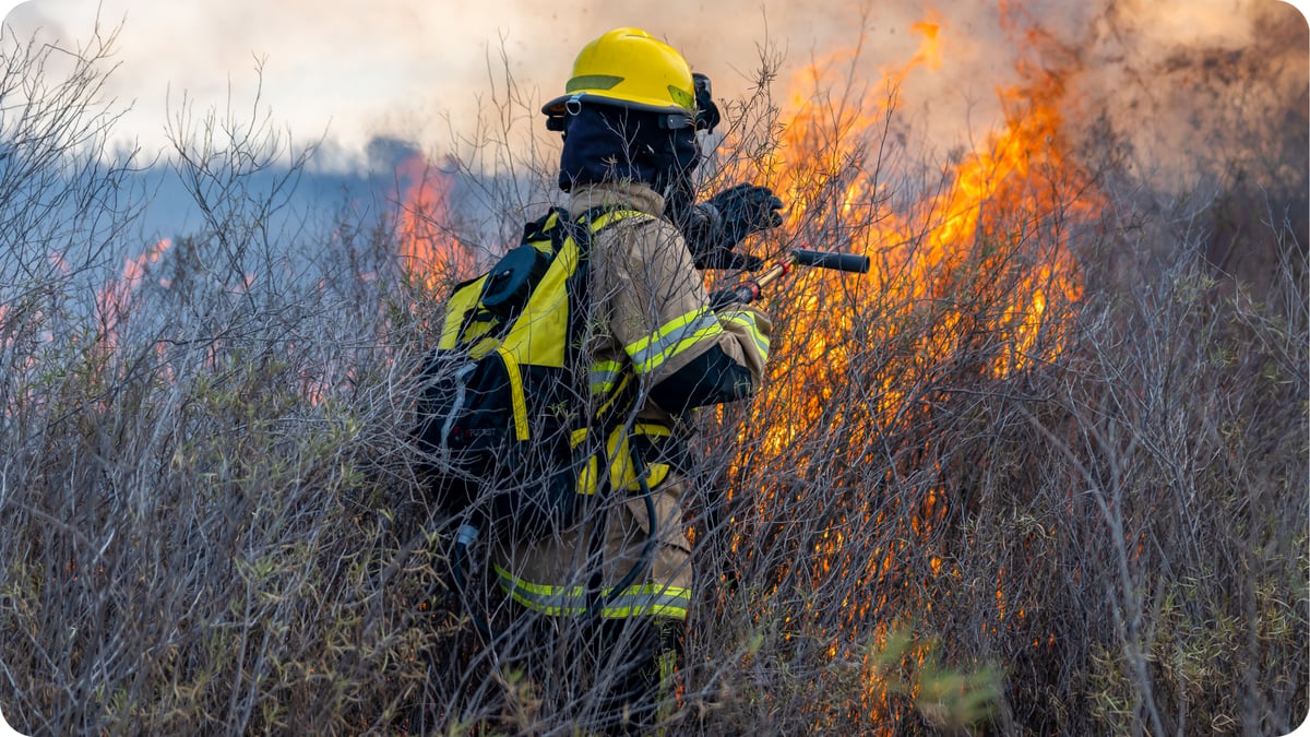 SOPAA firefighters workplace protection